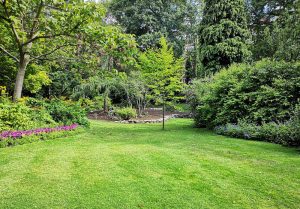 Optimiser l'expérience du jardin à Villemoiron-en-Othe